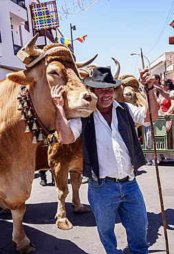 Romeria de Tegueste, traditional street party, Tegueste, Tenerife Island, Canary Islands, Spain, Europe