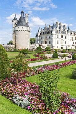 Summer flowers in the park of Chenonceau castle, UNESCO World Heritage Site, Chenonceaux, Indre-et-Loire, Centre, France, Europe