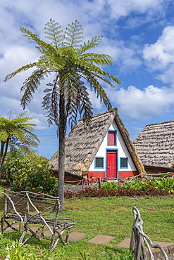 Traditional house under a palm tree, Santana, Madeira region, Portugal, Europe