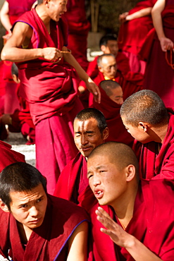 The debating Tibetan Buddhist monks of Sera Monastery, Lhasa, Tibet, China, Asia