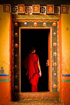 Novice Buddhist monk of Rinpung Fortress Monastery, Paro, Bhutan, Asia