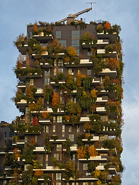 Porta Nuova, Bosco Verticale at sunrise, Milan, Lombardy, Italy, Europe