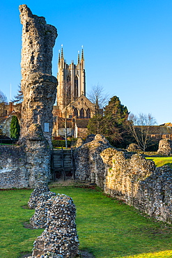 Ruins of the Abbey of Bury St. Edmunds, historic Benedictine monastery, with St. Edmundsbury Cathedral, Bury St. Edmunds, Suffolk, England, United Kingdom, Europe