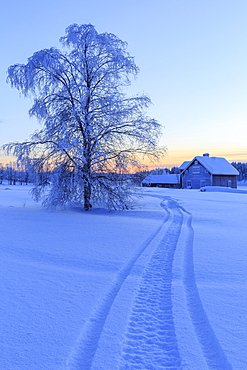 House in the taiga at the border between Sweden and Finland, Hukanmaa/Kitkiojoki, Norbottens Ian, Lapland, Sweden, Scandinavia, Europe