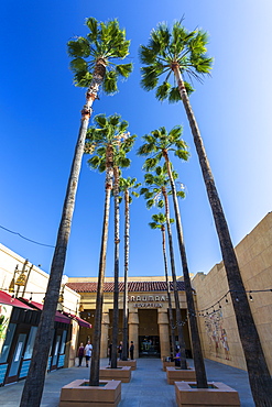 Grauman's Egyptian Theatre, Hollywood Boulevard, Hollywood, Los Angeles, California, United States of America, North America