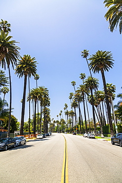 Beverly Drive, Beverly Hills, California, United States of America, North America