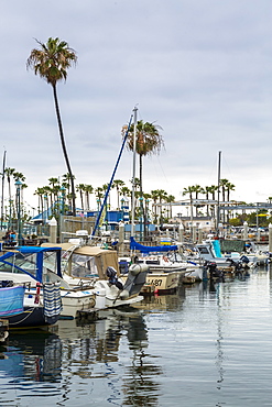 King Harbor, Redondo Beach, California, United States of America, North America