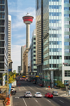 View of the Calgary Tower and nearby office buildings, Downtown Calgary, Alberta, Canada, North America