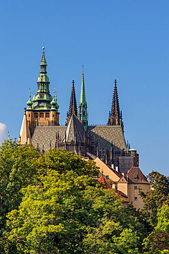 Saint Vitus Cathedral seen from the Chotek Gardens, Prague, Czech Republic (Czechia), Europe