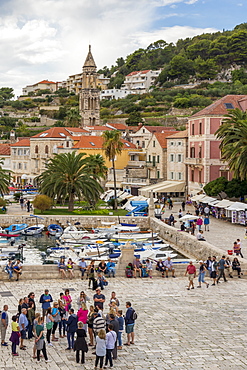 Elevated view over the port of Hvar Town, Hvar, Croatia, Europe