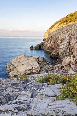 Cape Zakamenica at Mljet Island National Park, Croatia, Europe