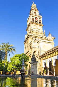 The bell tower of the Mosque-Cathedral (Great Mosque of Cordoba) (Mezquita), UNESCO World Heritage Site, seen from the inner courtyard, Cordoba, Andalusia, Spain, Europe