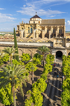 The Mosque-Cathedral (Great Mosque of Cordoba) (Mezquita), UNESCO World Heritage Site, seen from the bell tower, Cordoba, Andalusia, Spain, Europe