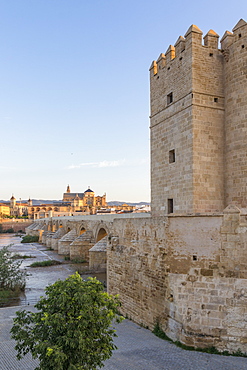 Calahorra Tower, UNESCO World Heritage Site, with view to the Mosque-Cathedral, Cordoba, Andalusia, Spain, Europe