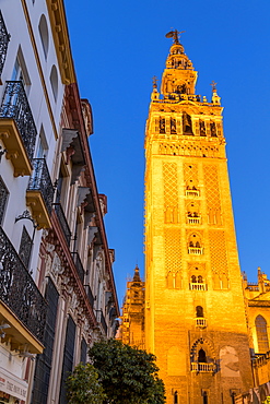 The Giralda Bell Tower at dusk, UNESCO World Heritage Site, Seville, Andalusia, Spain, Europe