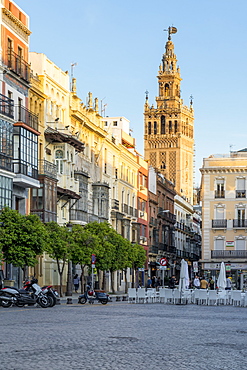 The Giralda Bell tower seen from San Francisco Square at sunset, Seville, Andalusia, Spain, Europe