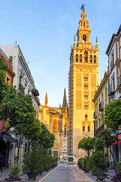 The Giralda Bell tower at first sunlight, UNESCO World Heritage Site, Seville, Andalusia, Spain, Europe