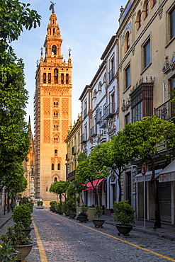 The Giralda Bell tower at first sunlight, UNESCO World Heritage Site, Seville, Andalusia, Spain, Europe