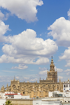 View from the Golden Tower (Torre del Oro) to the Cathedral, UNESCO World Heritage Site, Seville, Andalusia, Spain, Europe