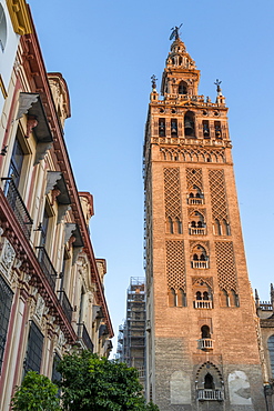 Giralda Bell tower at sunset, UNESCO World Heritage Site, Seville, Andalusia, Spain, Europe