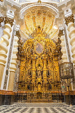 Interior of the San Luis de los Franceses Church, Seville, Andalusia, Spain, Europe