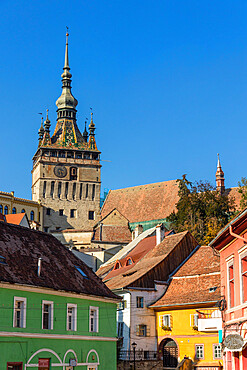 Clock Tower (Turnul cu Ceas), Sighisoara, UNESCO World Heritage Site, Mures County, Transylvania Region, Romania, Europe