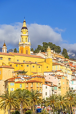 The old town with the Saint-Michel-Archange Basilica, Menton, Alpes Maritimes, Cote d'Azur, French Riviera, Provence, France, Mediterranean, Europe