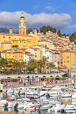 View from Vieux-Port to the old town and the Saint-Michel-Archange Basilica, Menton, Alpes Maritimes, Cote d'Azur, French Riviera, Provence, France, Mediterranean, Europe