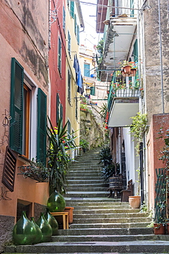 Colourful buildings and steps in Monterosso, Cinque Terre, UNESCO World Heritage Site, Liguria, Italy, Europe