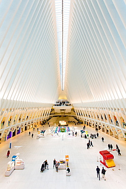 Oculus, World Trade Center Transportation Hub, Financial District, Manhattan, New York City, New York, United States of America, North America