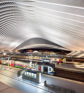 Liege-Guillemins railway station, Liege, Belgium, Europe