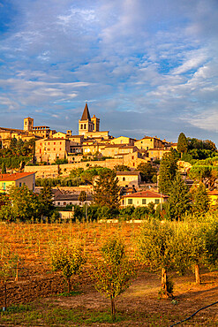 Spello, Perugia, Umbria, Italy, Europe