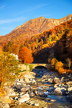 Cervo River, Valle Cervo, Biella, Piedmont, Italy, Europe