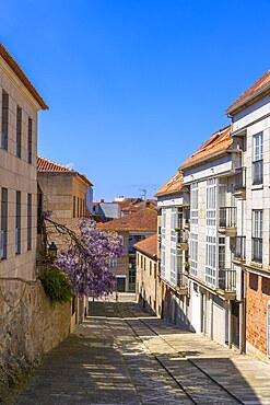 Cambados, Pontevedra, Galicia, Spain