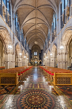 The main nave, The Christ Church, Dublin, Republic of Ireland, Europe