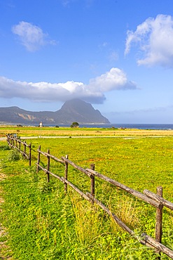 Riserva Naturale Orientata Monte Cofano, Custonaci, San Vito Lo Capo, Trapani, Sicily, Italy