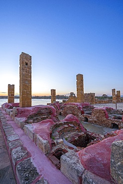 Vendicari Wildlife Oasis, Noto, Syracuse, Sicily, Italy