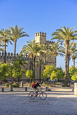 Alcazar de los Reyes Cristianos, Cordoba, Andalusia, Spain