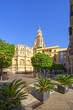 Cathedral of Santa Maria, Murcia, autonomous community of Murcia, Spain