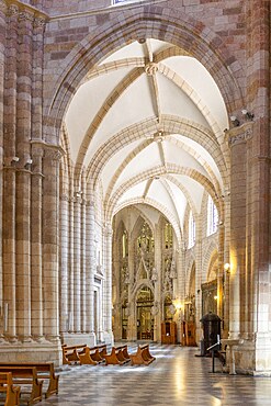 Cathedral of Santa Maria, Murcia, autonomous community of Murcia, Spain