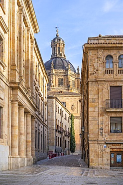 Calle Cardenal Pla y Deniel, Salamanca, Castile and León, Spain