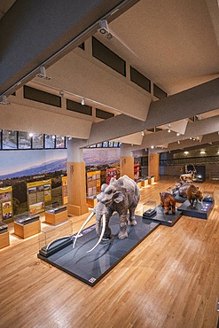 National Museum of the Paleolithic, archaeological excavation La Pineta, Isernia, Molise, Italy