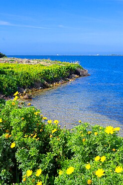 Motya island, Marsala, Trapani, Sicily, Italy