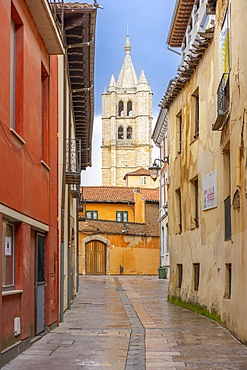 Calle Damaso Merino, León, Castile and León, Spain