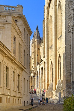 Avignon, Provence-Alpes-Côte d'Azur, Grand Avignon, Rhone Valley, France, UNESCO