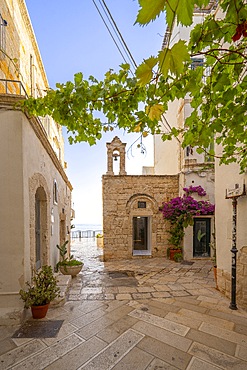 church of Santo Stefano, Polignano a mare, Bari, Apulia, Italy