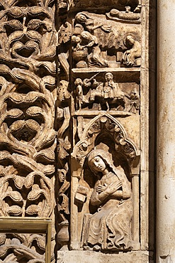 Cathedral of Santa Maria Assunta, Altamura, Bari, Apulia, Italy