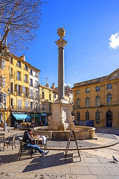 Meager flower market, Aix-en-Provence, Provence-Alpes-Côte d'Azur, France