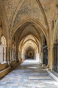 metropolitan and primatial cathedral basilica of Santa Tecla, cathedral,, Tarragona, Catalonia, Spain