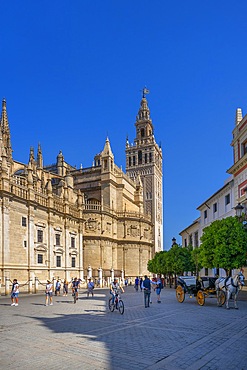 Seville Cathedral, Cathedral of Santa Maria de la Sede of Seville, former ancient Almohad mosque, Seville, Andalusia, Spain